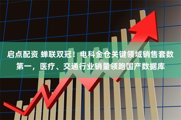 启点配资 蝉联双冠！电科金仓关键领域销售套数第一，医疗、交通行业销量领跑国产数据库