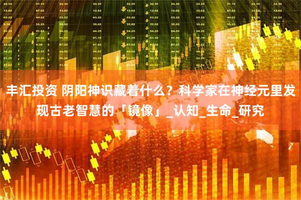 丰汇投资 阴阳神识藏着什么？科学家在神经元里发现古老智慧的「镜像」_认知_生命_研究
