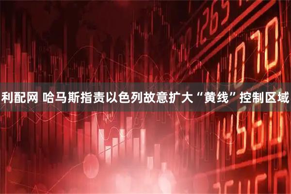 利配网 哈马斯指责以色列故意扩大“黄线”控制区域