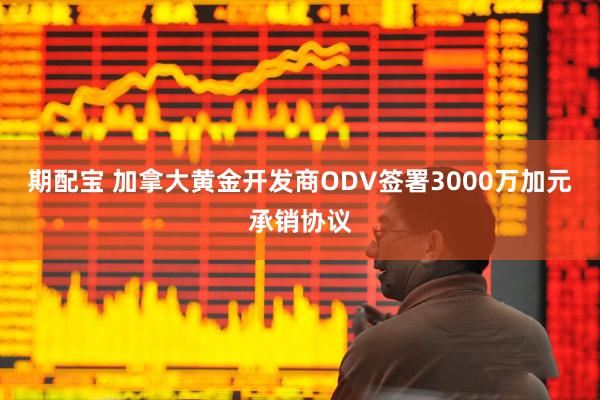 期配宝 加拿大黄金开发商ODV签署3000万加元承销协议