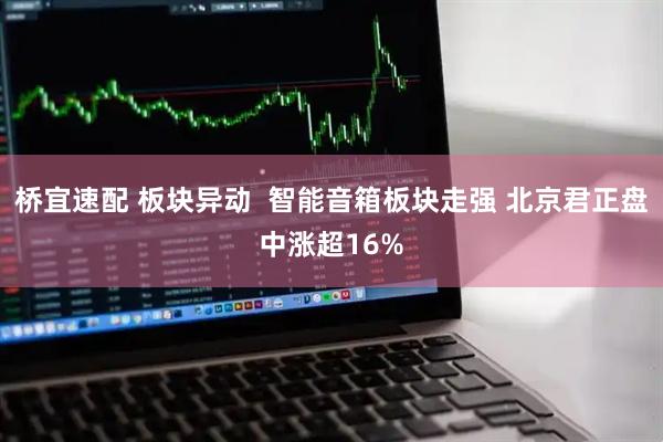 桥宜速配 板块异动  智能音箱板块走强 北京君正盘中涨超16%
